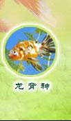 Wulongbei вид золотої рибки