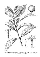 Juanguanqianshu