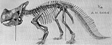 Монтана ceratopsian