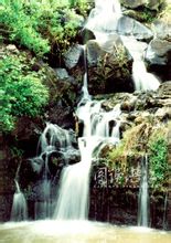 Фея: Фея Xuwen округу провінції Гуандун
