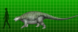 Nodosauridae