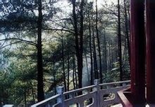 Схід Тайшань Державний лісовий парк