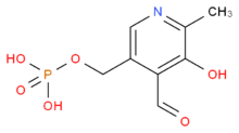 Піридоксальфосфат